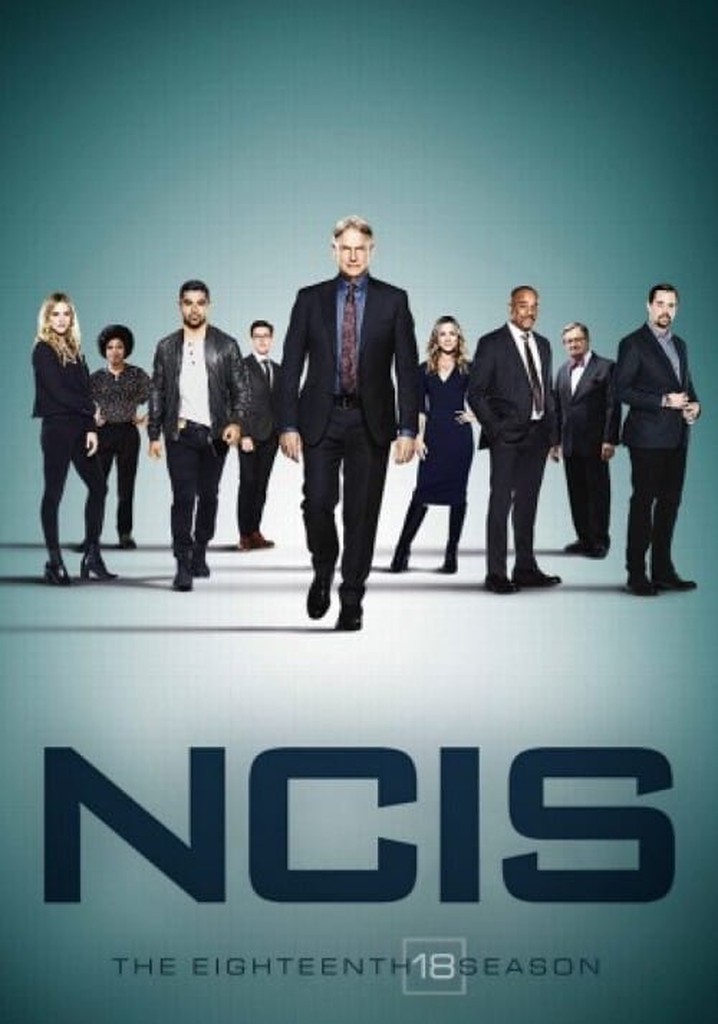 NCIS Unità anticrimine Stagione 18 streaming online